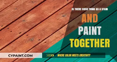 Unveiling the Myth: Can Stains and Paints Coexist?