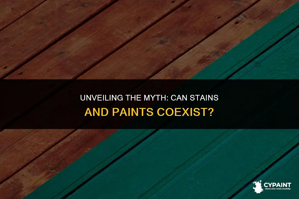 is there such thing as a stain and paint together