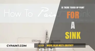 Can You Touch Up Sink Paint? A Quick Fix Guide