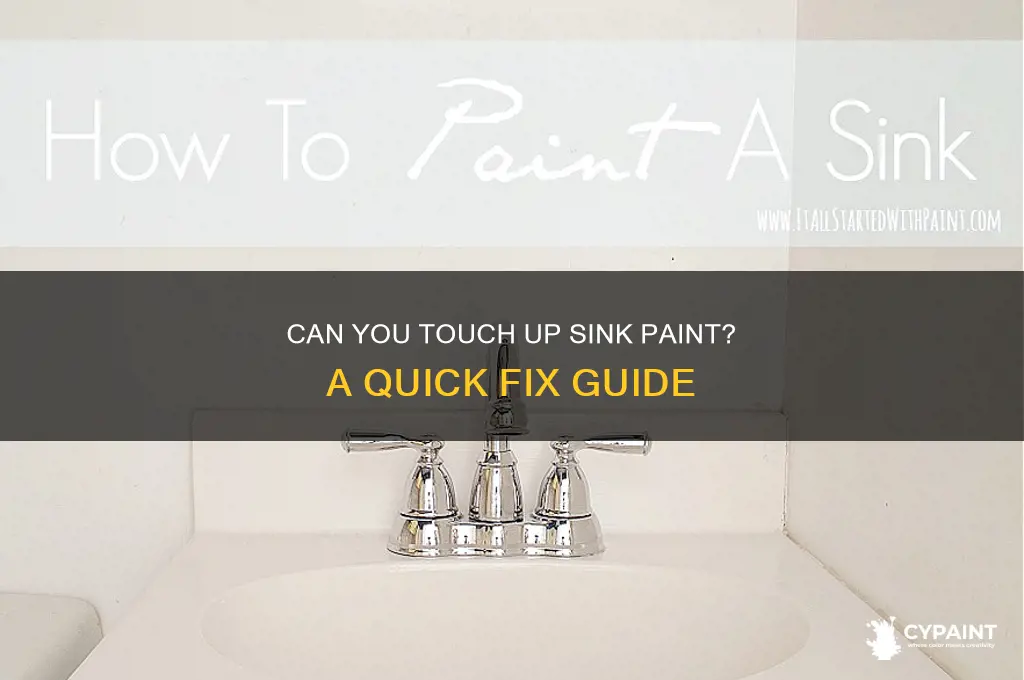 is there touch up paint for a sink