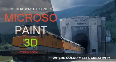 Cloning in MS Paint 3D: Is It Possible?