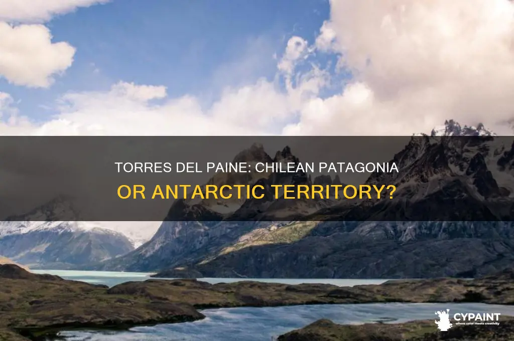 is torres del paint part of chilean antartica
