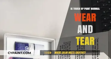 Is Touch-Up Paint Considered Normal Wear and Tear?