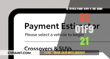 Decoding Toyota Paint Codes: 01F9 11 vs. 01F9 21 - What's the Difference?