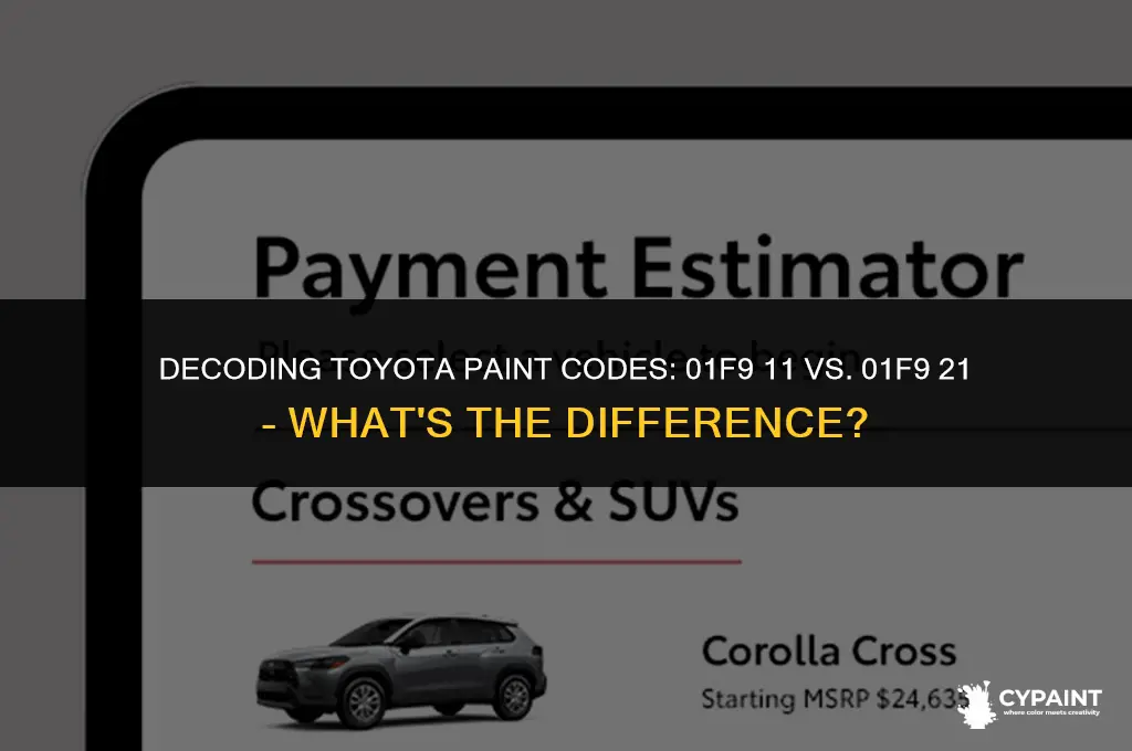 is toyota paint 01f9 11 the same as 01f9 21