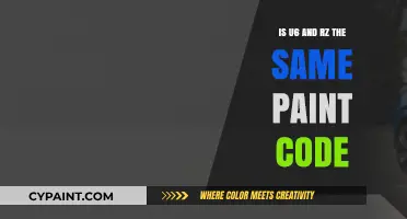 Are U6 and RZ Paint Codes Interchangeable? Unraveling the Mystery