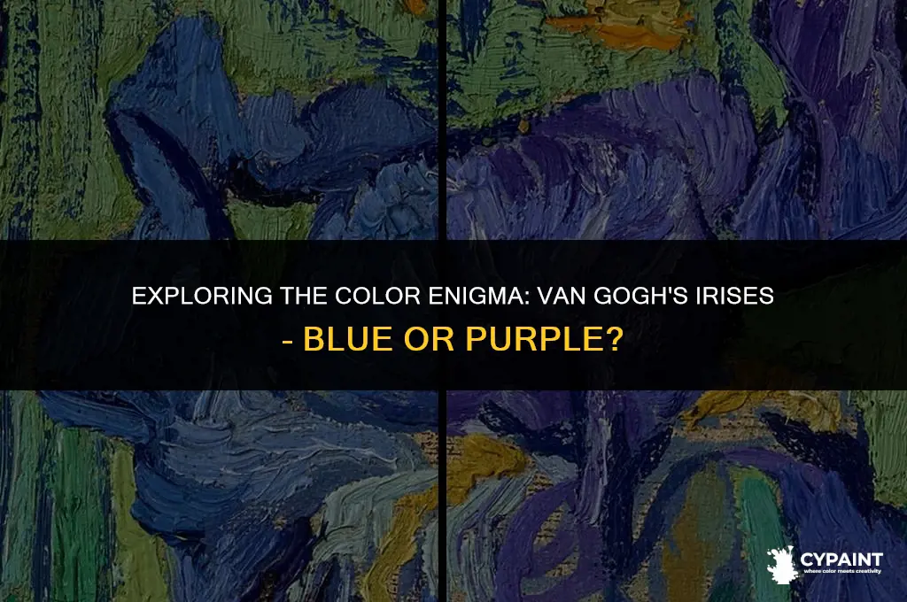 is van gogh