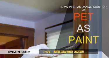 Pet Safety: Varnish vs. Paint