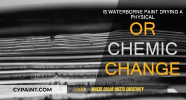 Waterborne Paint Drying: Physical or Chemical Change?