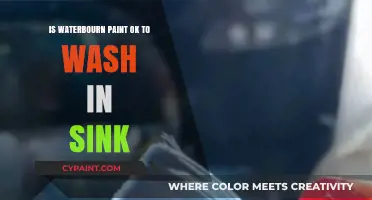 Is Water-Based Paint Safe to Wash Down the Sink?