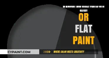 Exploring the Typical Paint Finish for Wrought Iron: Glossy or Flat?