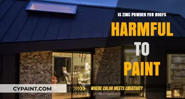 Zinc Powder on Roofs: Potential Harm to Paint Explained