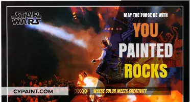 May the Force Be With You: Star Wars Painted Rocks Ideas