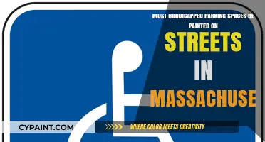 Massachusetts Law: Handicapped Parking Spaces on Streets - Requirements and Accessibility