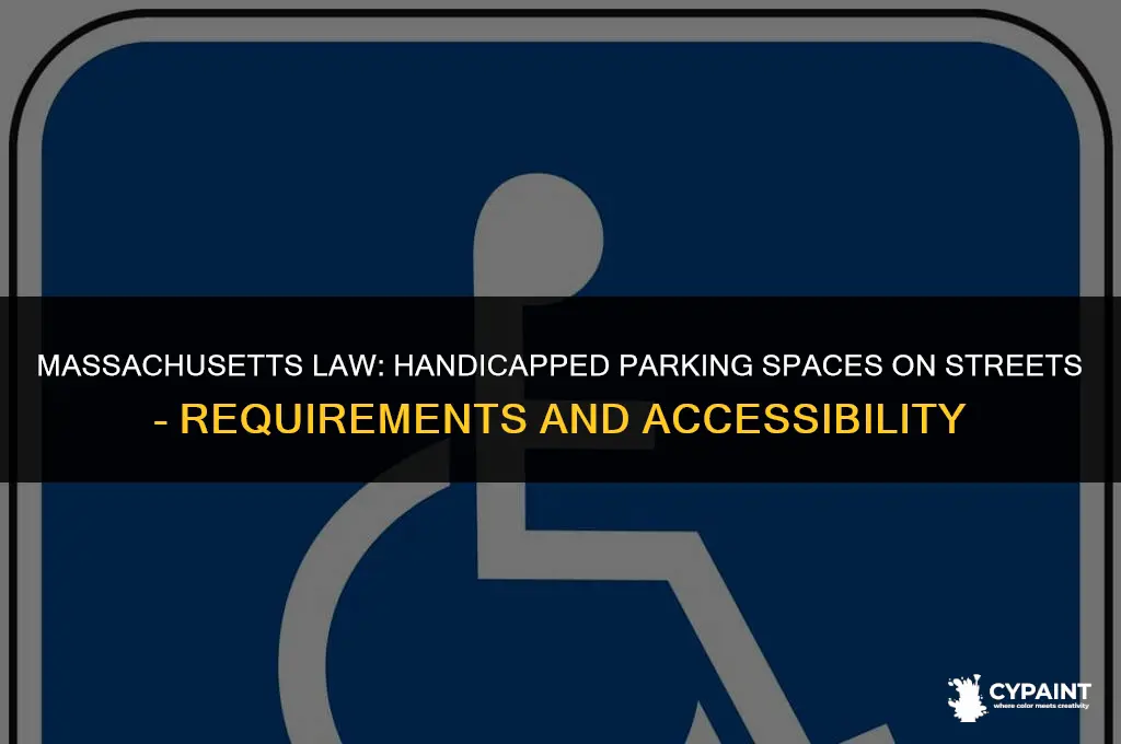 must handicapped parking spaces be painted on streets in massachusetts
