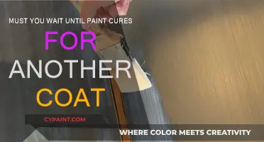 How Long to Wait Before Applying Another Coat of Paint?