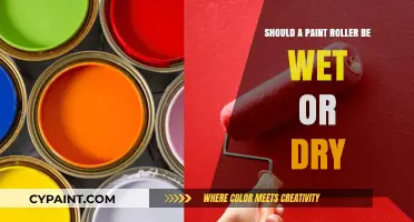 Wet or Dry Paint Roller: Which Technique Yields Better Results?