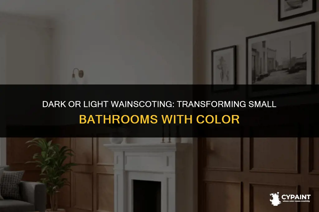 should a small bathroom paint the wainscoting dark or light