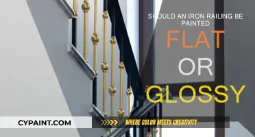 Flat or Glossy: Choosing the Right Paint for Iron Railings