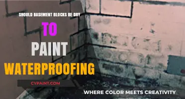 Dry Basement Blocks: Essential Prep for Waterproofing Paint Application