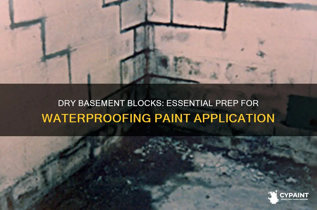 Curated visual reference: Visual Reference: Dry Basement Blocks Essential Prep For Waterproofing Paint Application