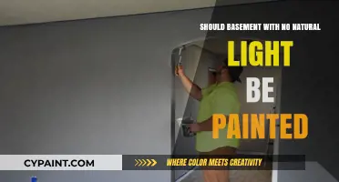 Brightening Dark Basements: Should You Paint Lightless Underground Spaces?