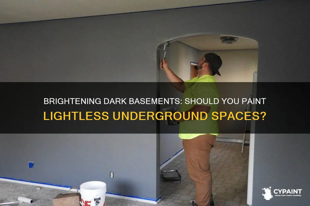 should basement with no natural light be painted
