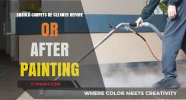 Carpet Cleaning Timing: Before or After Painting for Best Results?