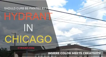 Chicago's Fire Hydrants: Curb Painting Conundrum