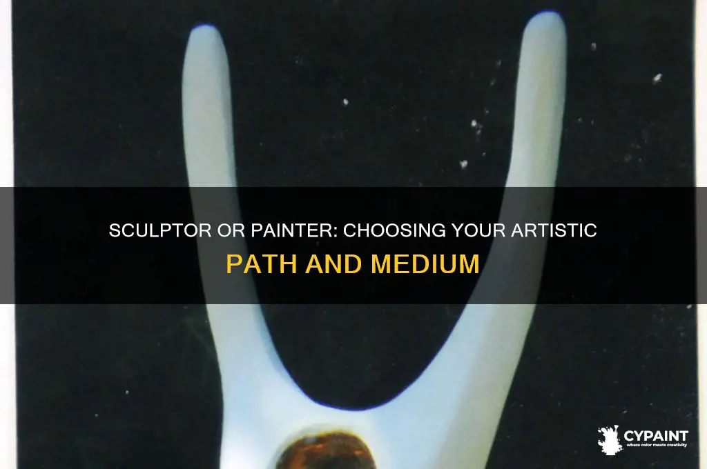 should i be a sculptor or a painter