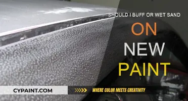 Buffing or Wet Sanding: What's Best for New Paint?