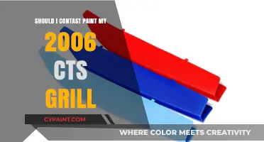 Should You Contrast Paint Your 2006 CTS Grill? Pros & Cons