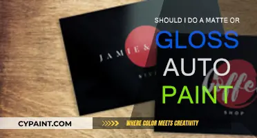 Matte or Gloss Auto Paint: Which Finish Suits Your Ride?