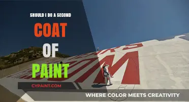 Should You Apply a Second Coat of Paint? Expert Tips and Advice