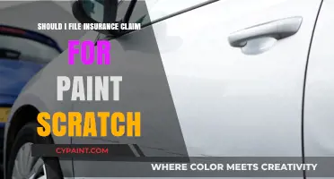 To Claim or Not: Weighing Insurance for Minor Paint Scratches