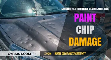 Hail Damage Dilemma: To Claim or Not to Claim Insurance for Minor Paint Chips