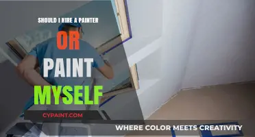 DIY vs. Pro: Should You Hire a Painter or Paint Yourself?