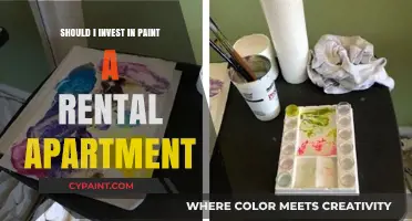 Investing in Paint: A Smart Move for Rental Apartments?