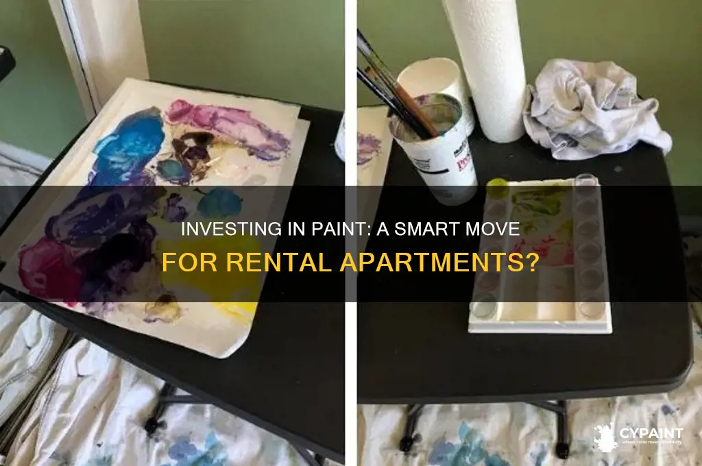 should i invest in paint a rental apartment