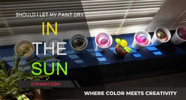 Sunlight and Paint: Friend or Foe?