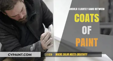 Lightly Sanding Between Paint Coats: Essential Step or Unnecessary Effort?