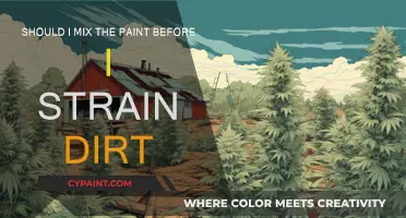 Straining Dirt: Pre or Post Paint Mixing?