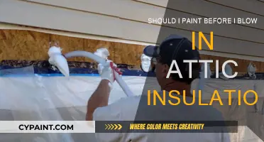Attic Insulation: Paint Before You Blow