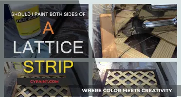 Painting Lattice Strips: One Side or Both?