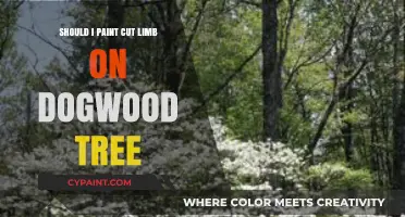 Should You Paint a Cut Limb on a Dogwood Tree?