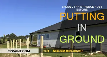 Ground-First or Paint-First: Fence Post Installation Tips