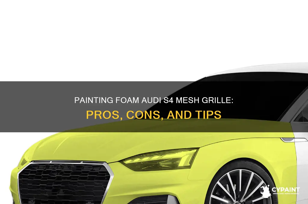 should i paint foam audi s4 mesh grille