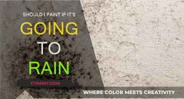 Painting in the Rain: What You Should Know