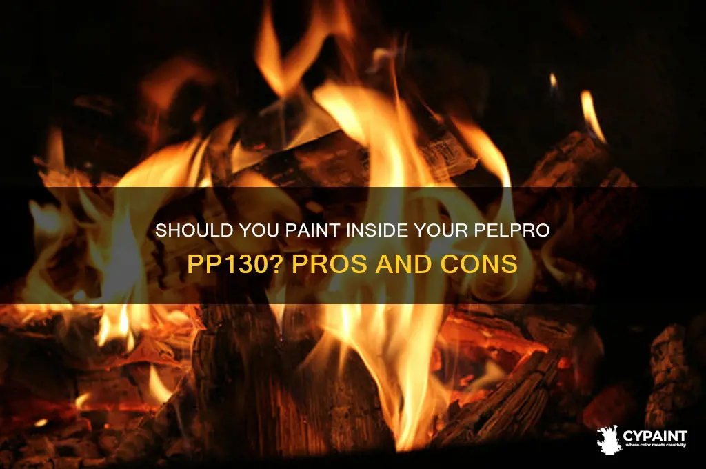should i paint inside of my pelpro pp130