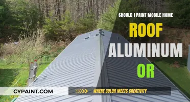 Aluminum Roof Paint: Best Choice for Mobile Home Durability?